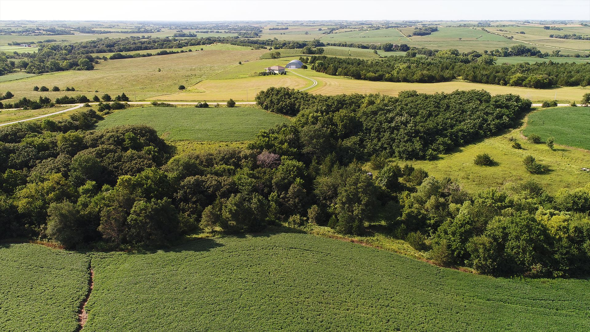 40 acres in Saunders County, Nebraska