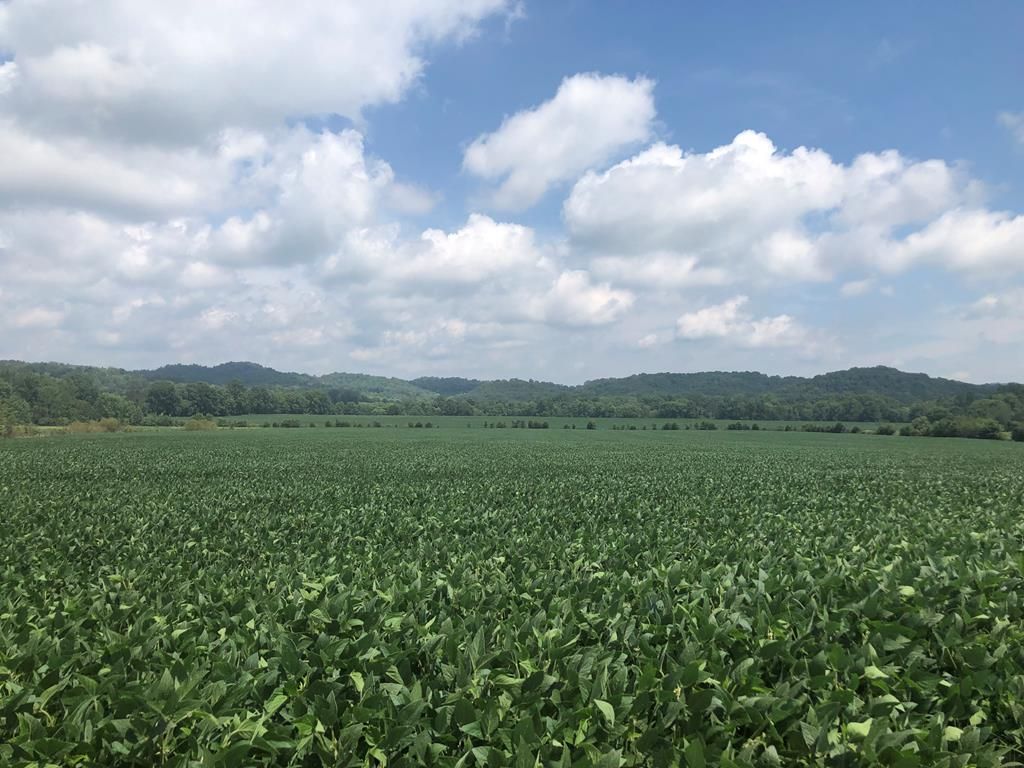 449 acres in Monroe County, Kentucky