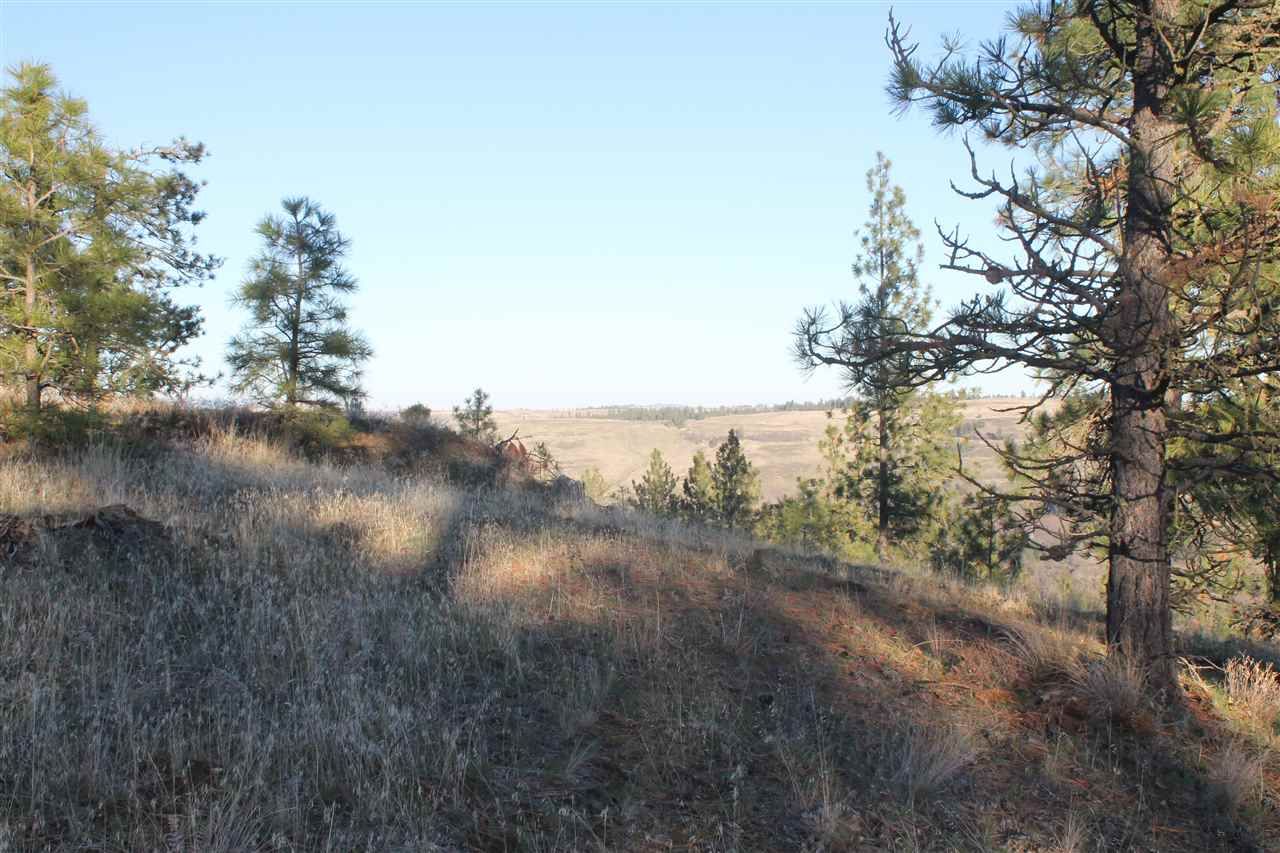 2.73 acres in Lincoln County, Washington