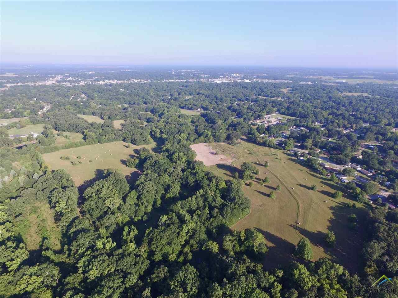 50 acres in Titus County, Texas