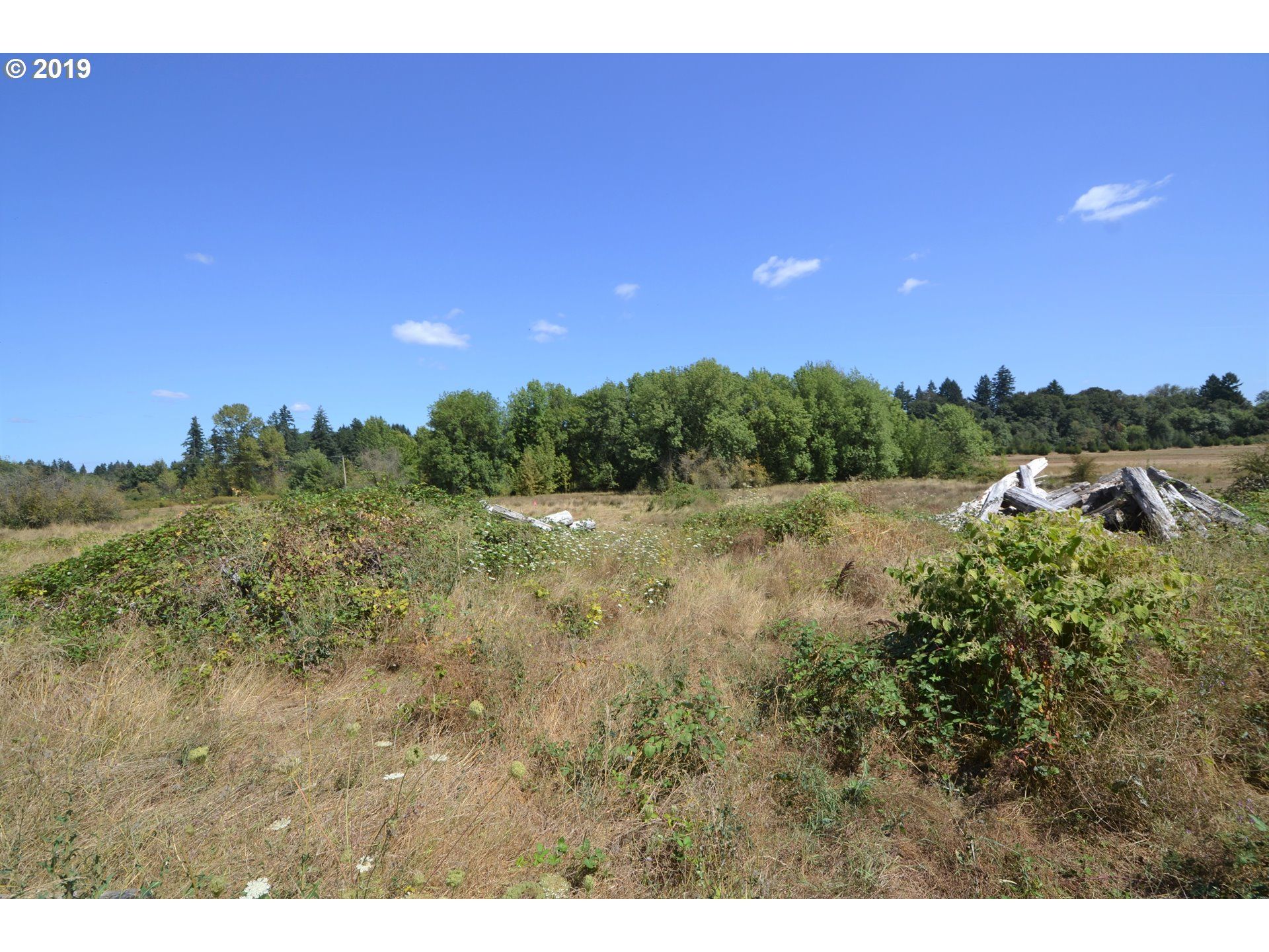 4.63 acres in Yamhill County, Oregon