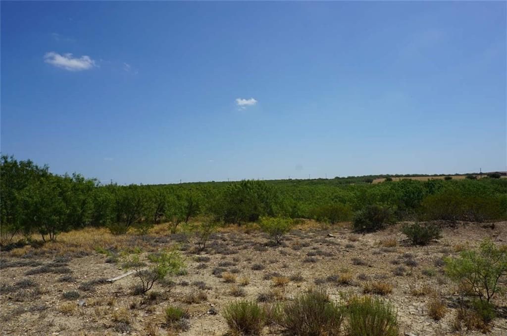 12.5 acres in Webb County, Texas