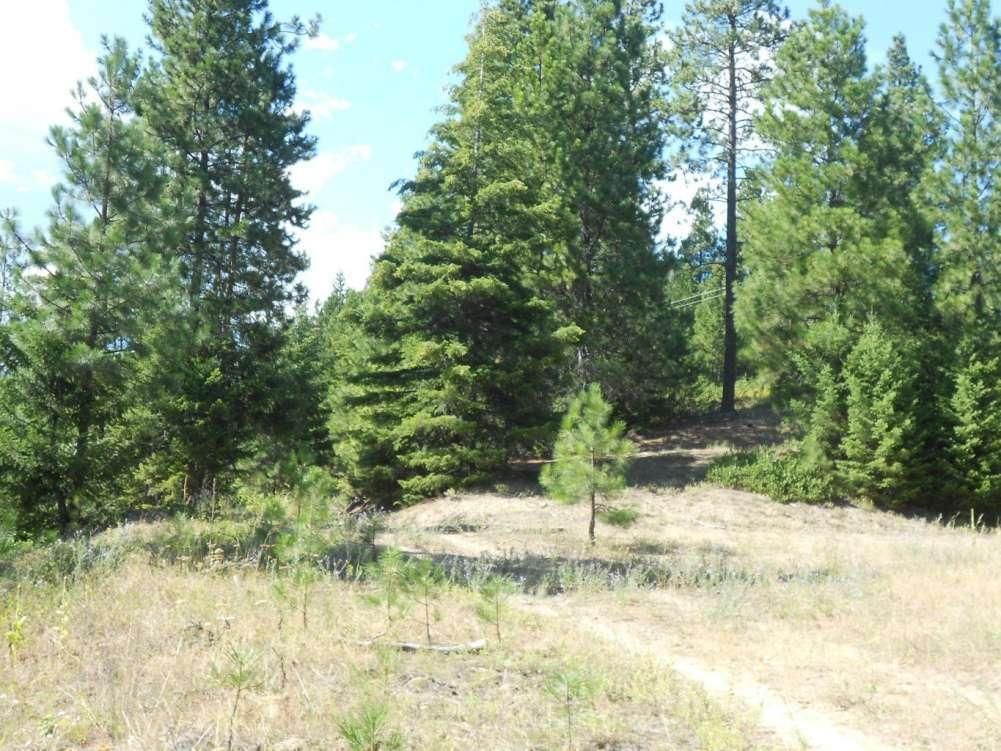 20 acres in Boundary County, Idaho