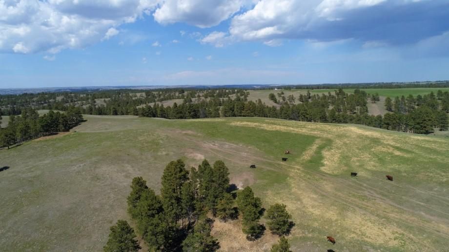 Crawford, Crawford, NE 69339