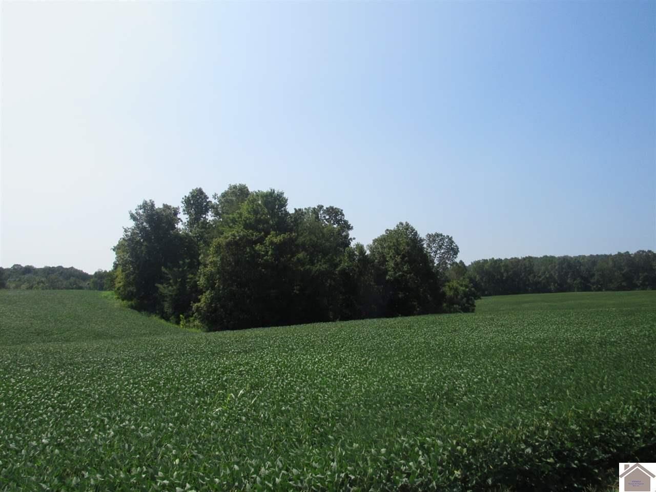 43 acres in Trigg County, Kentucky