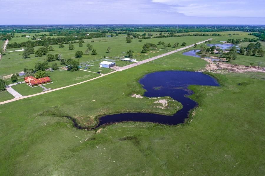 195 acres in Grimes County, Texas