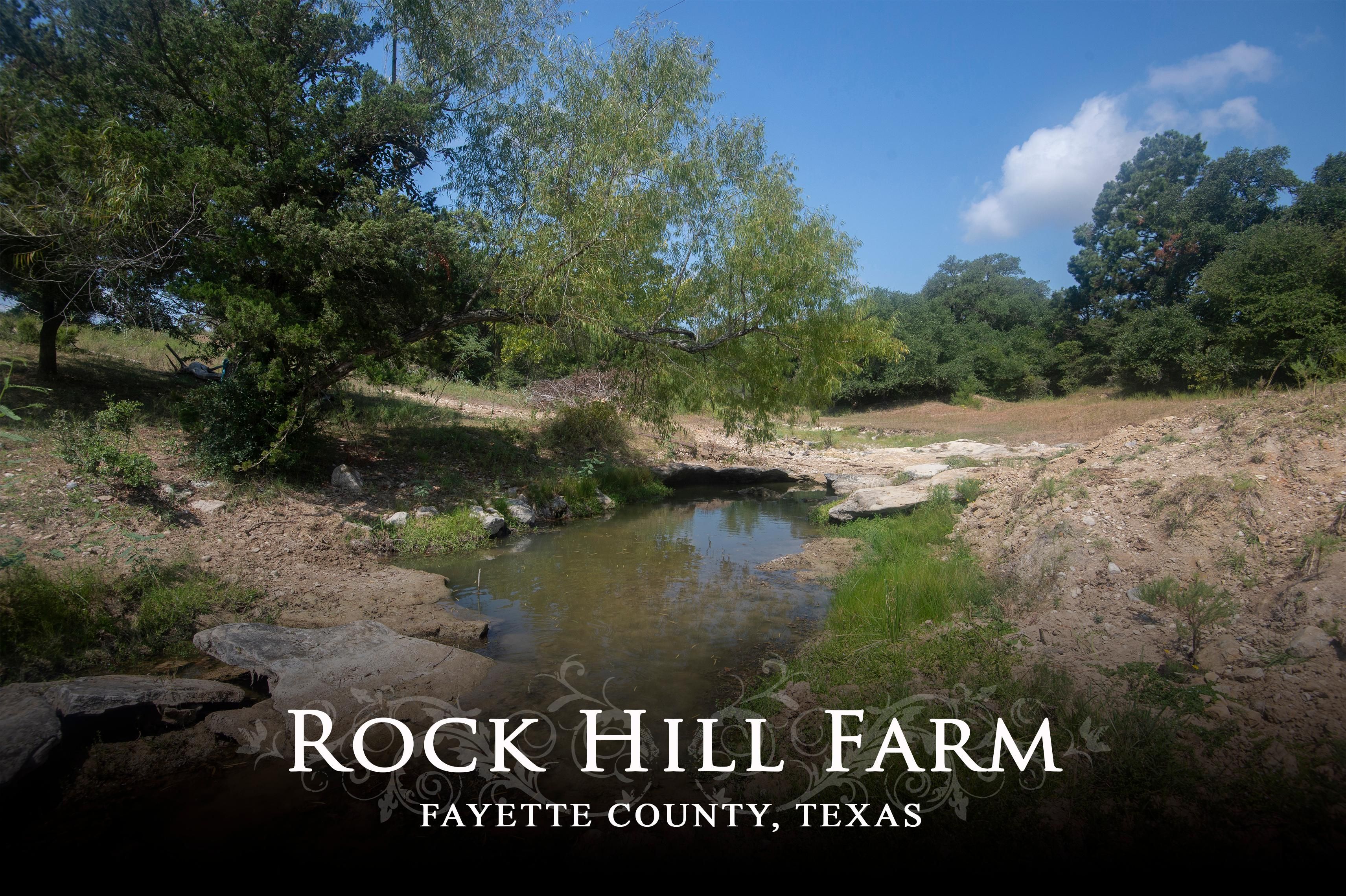 77.33 acres in Fayette County, Texas