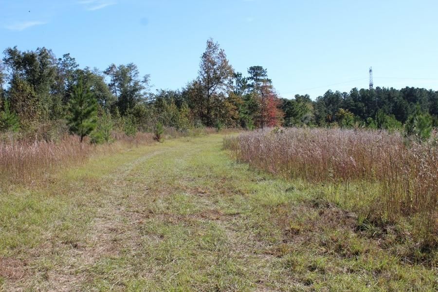 56 acres in Glascock County,