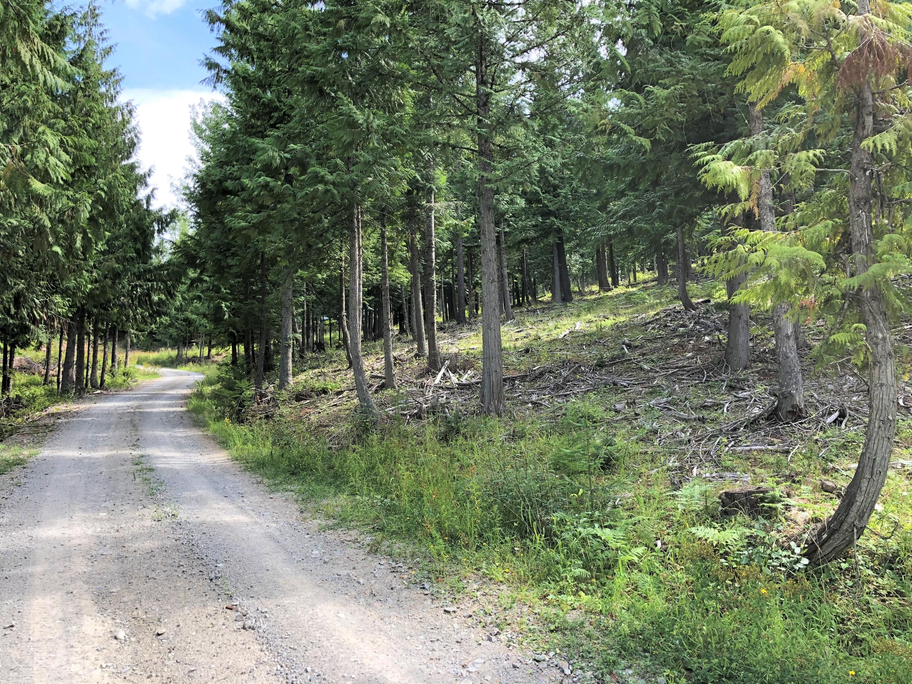 5.05 acres in Shoshone County, Idaho