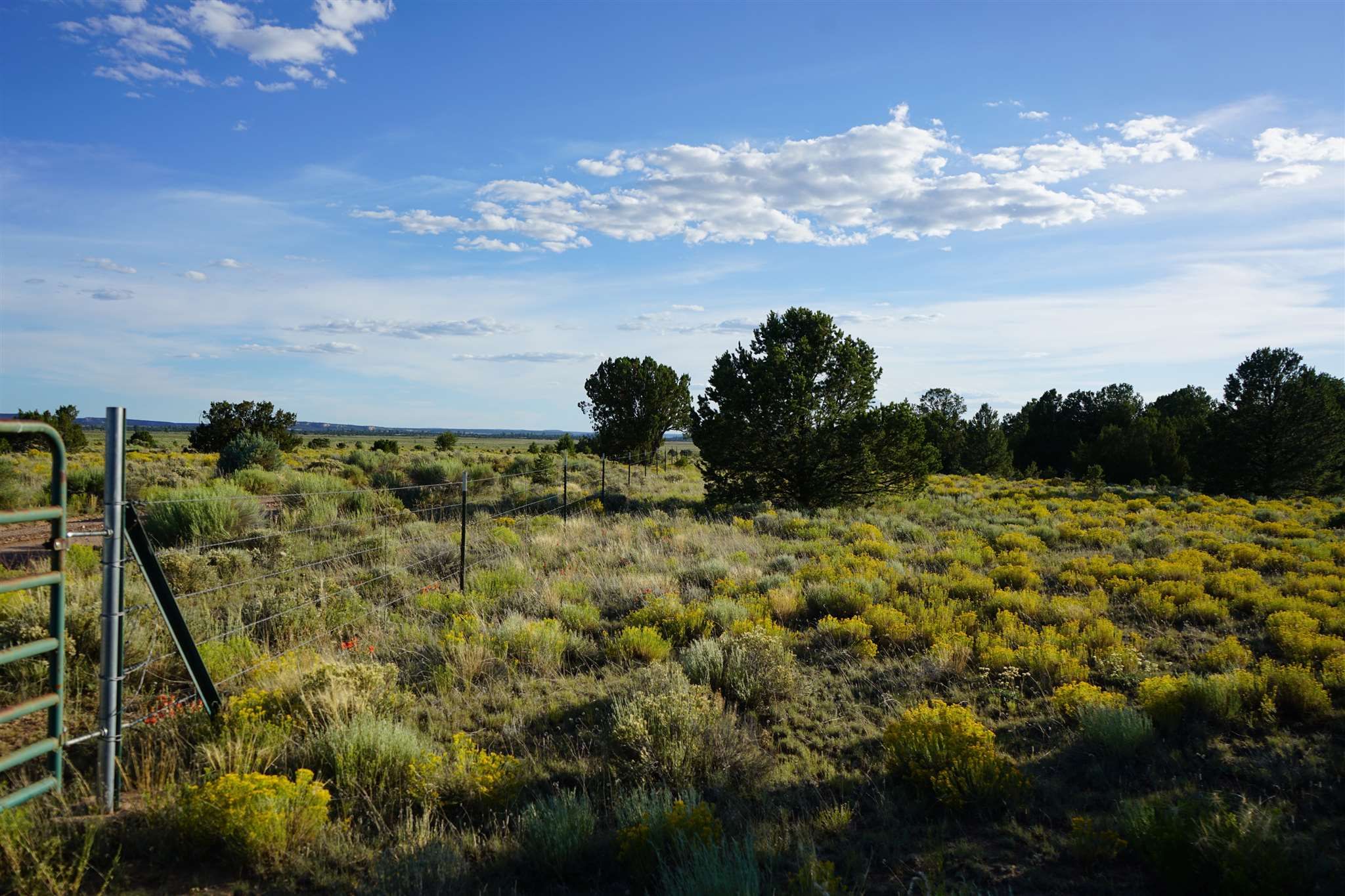 35 acres in Cibola County, New Mexico