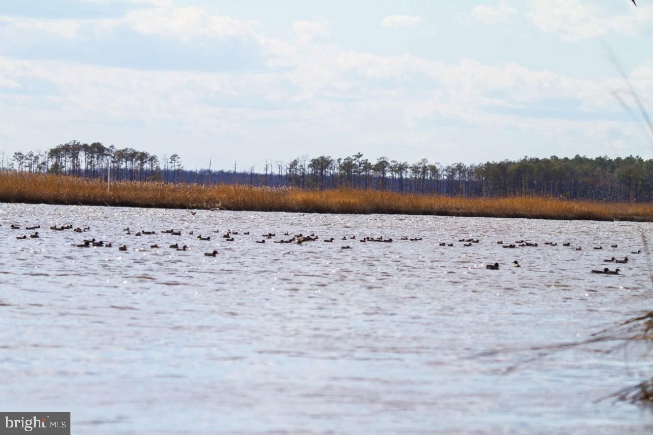 270 acres in Dorchester County, Maryland