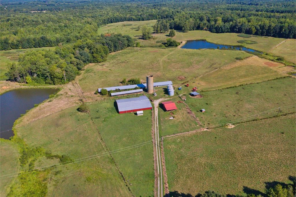 361.73 acres in Amelia County, Virginia