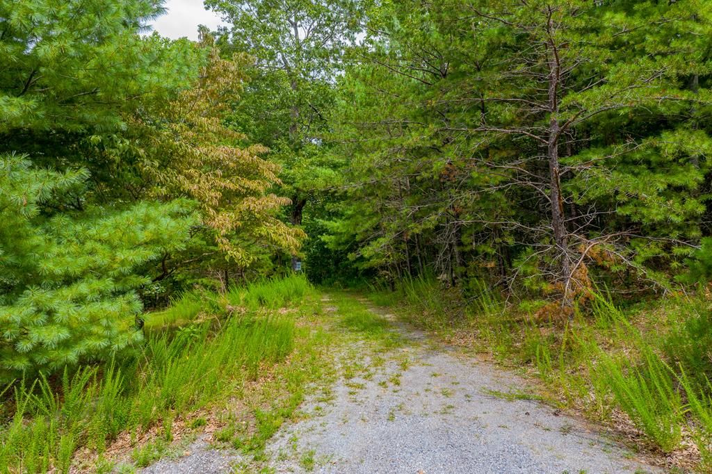 4.73 acres in Wythe County, Virginia