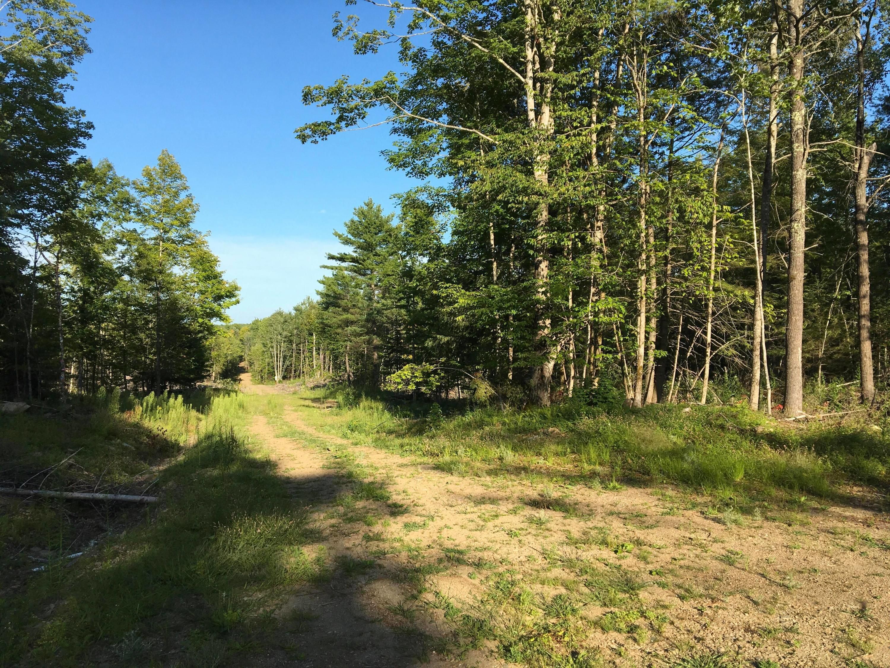 90 acres in Penobscot County, Maine