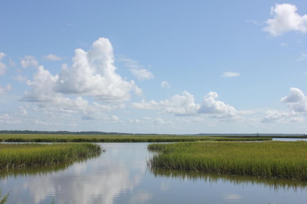 7688 Russell Creek RD, Edisto Island, SC 29438