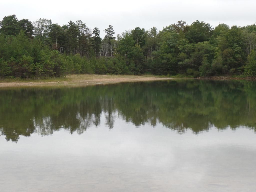 232.9 acres in Schuylkill County, Pennsylvania