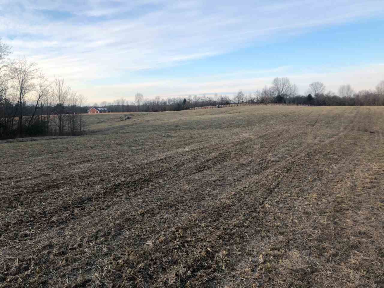 46 acres in Gibson County, Tennessee