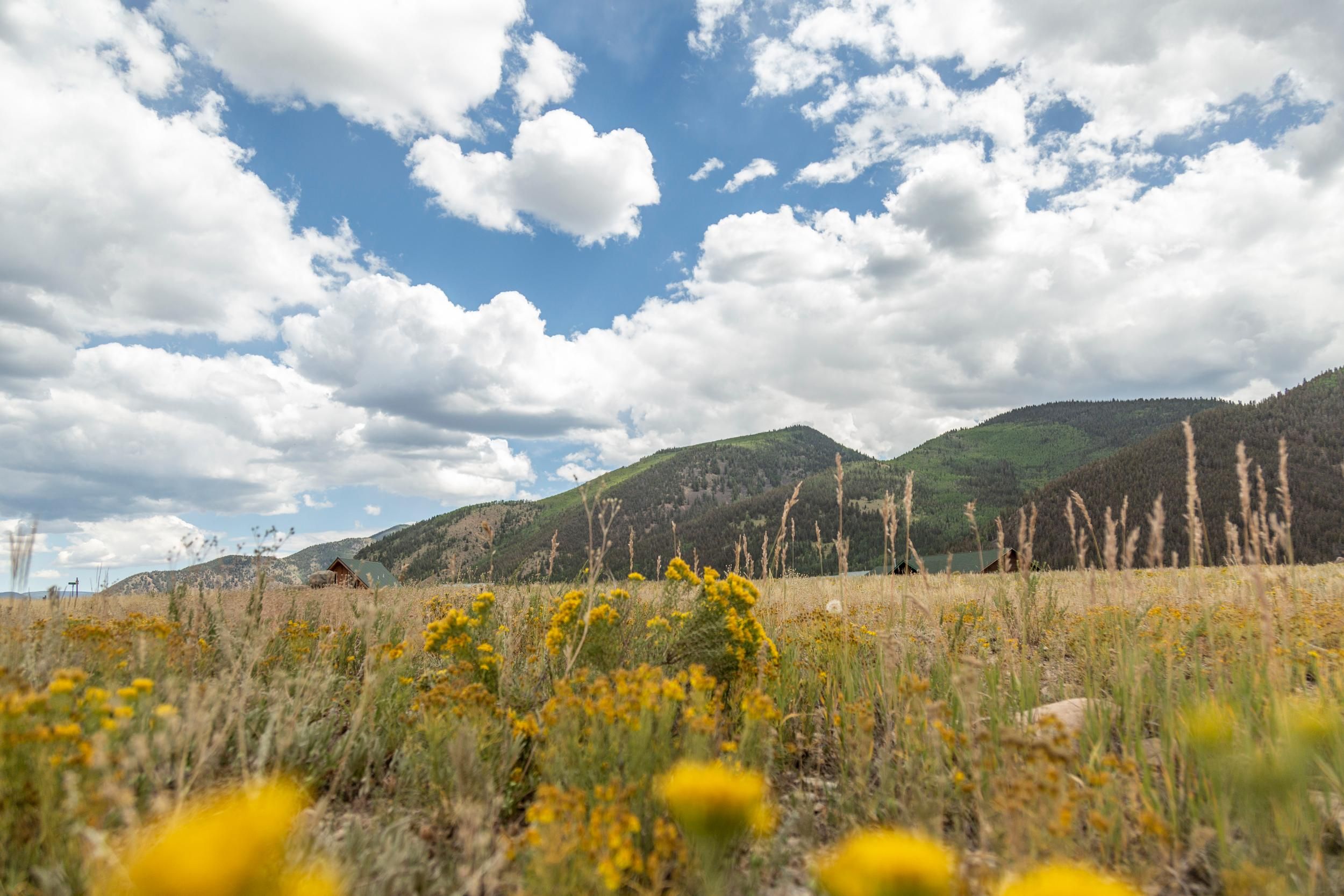 1 acres in Mineral County, Colorado