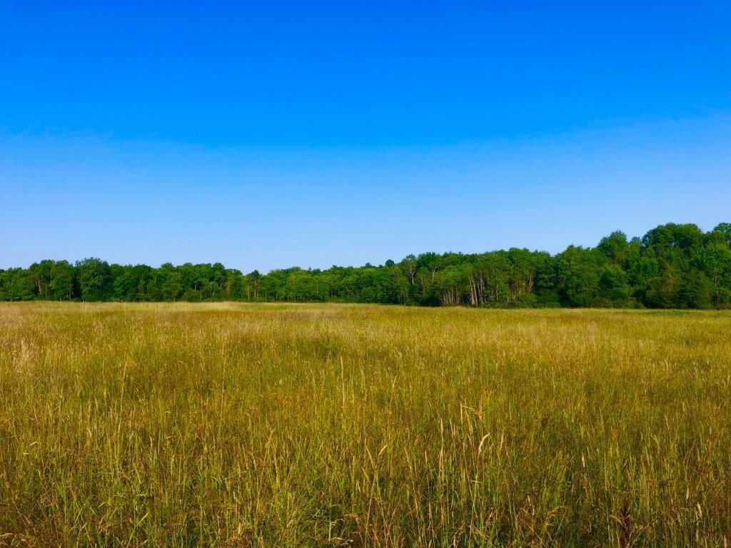 20 acres in Tompkins County, New York