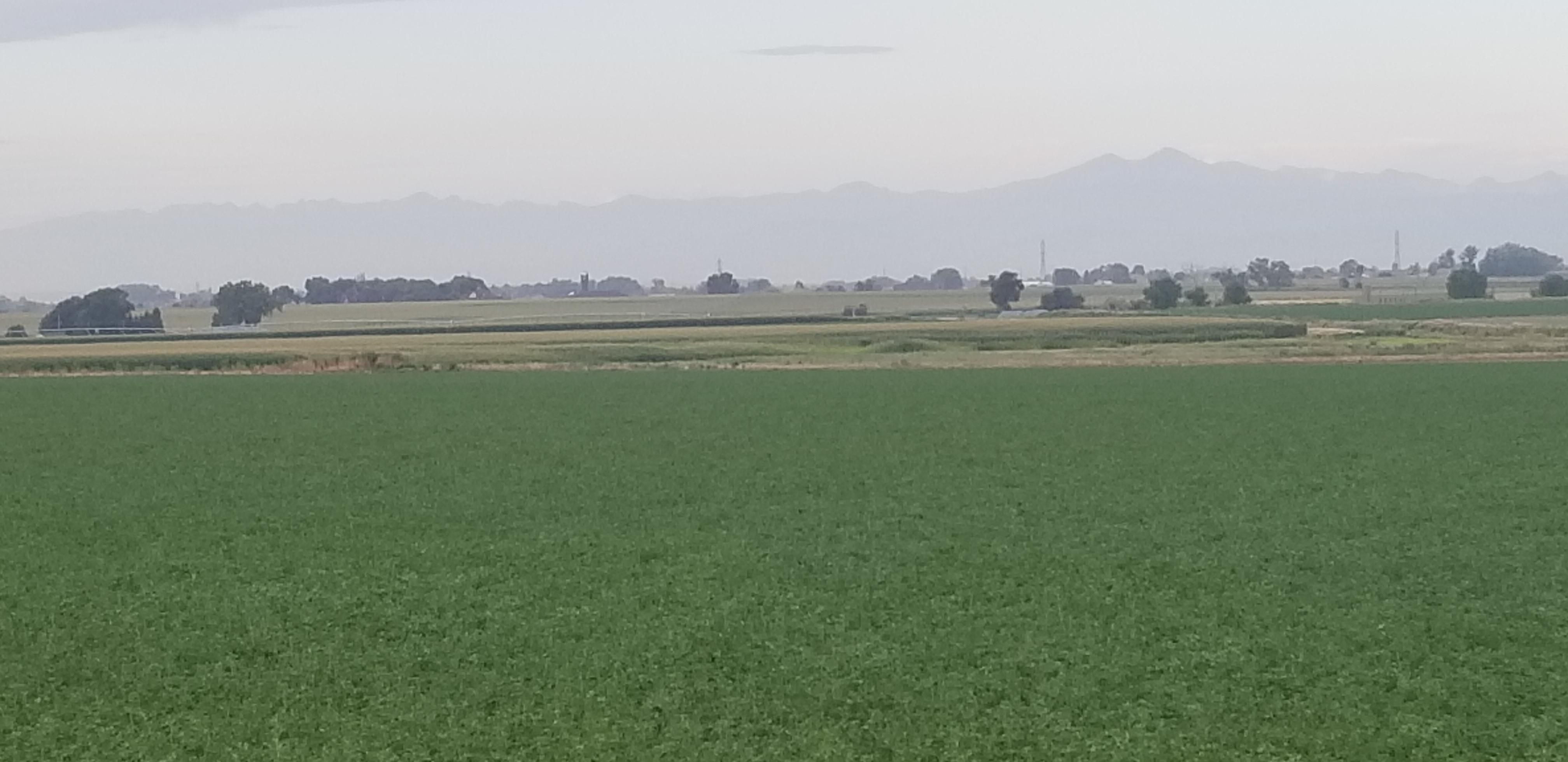 144 acres in Weld County, Colorado