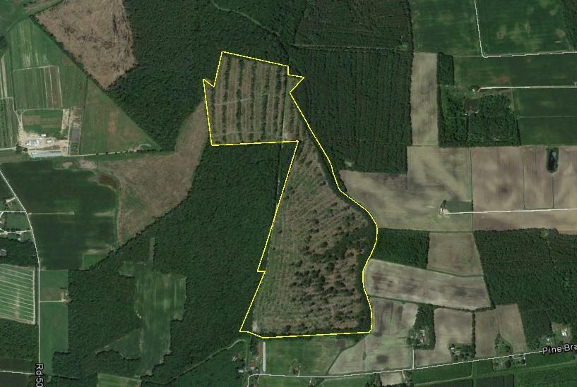 110 acres in Sussex County, Delaware