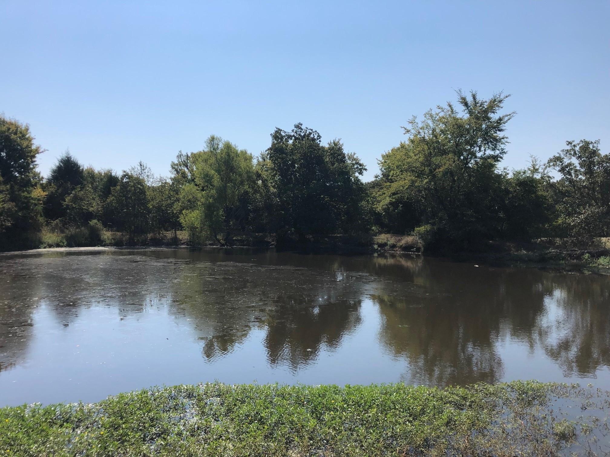 43 acres in Freestone County, Texas