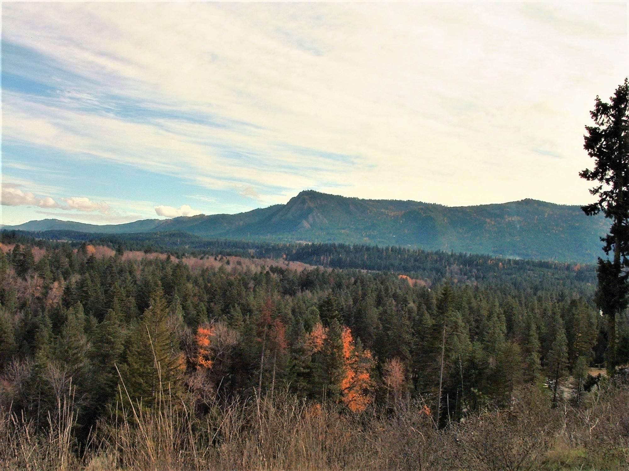 17 acres in Kittitas County, Washington