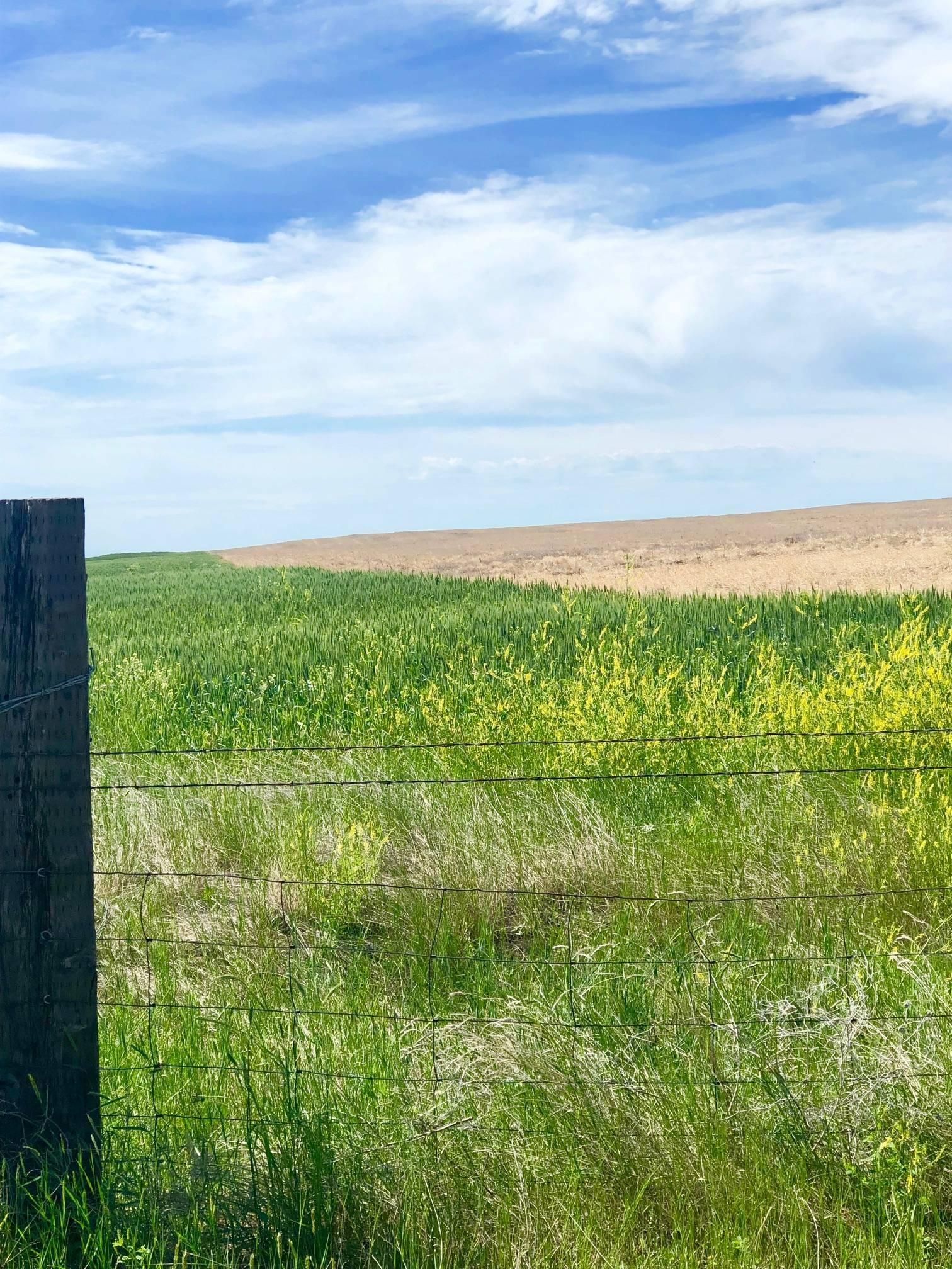 640 acres in Petroleum County, Montana