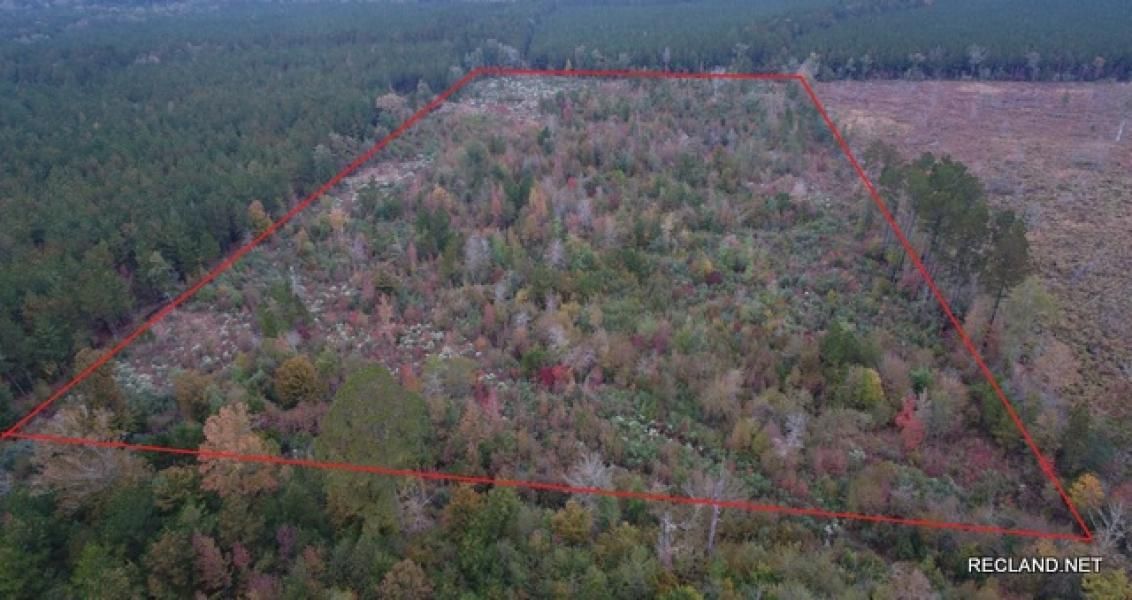 20 acres in Caldwell Parish, Louisiana