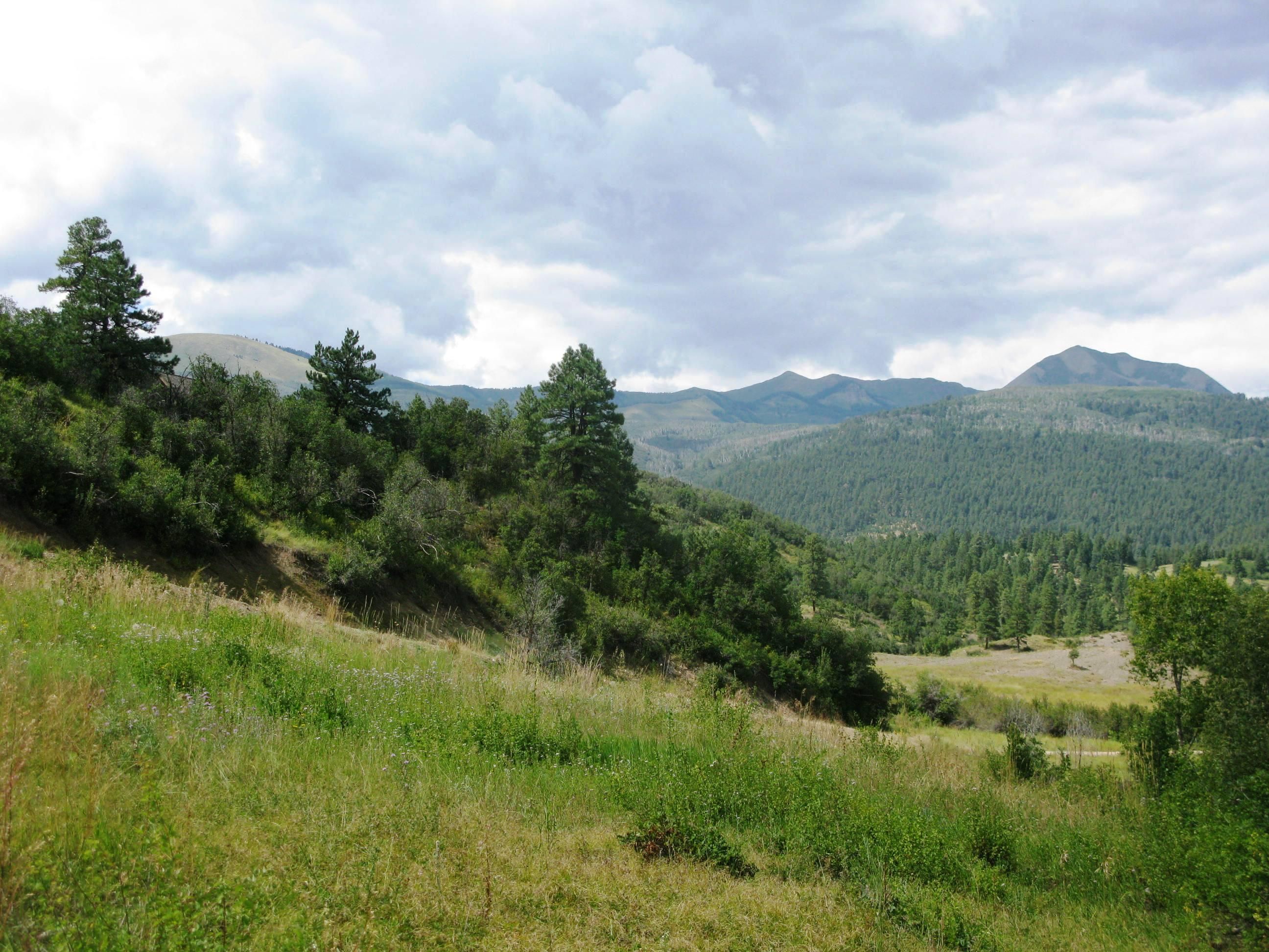 37 acres in La Plata County, Colorado
