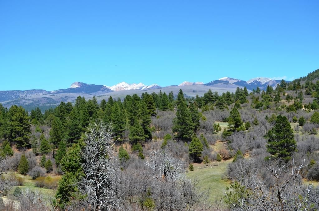35 acres in Montezuma County, Colorado