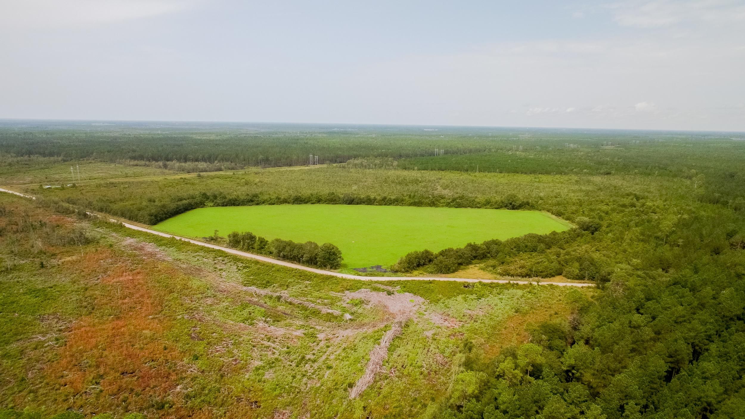 200 acres in Pierce County,