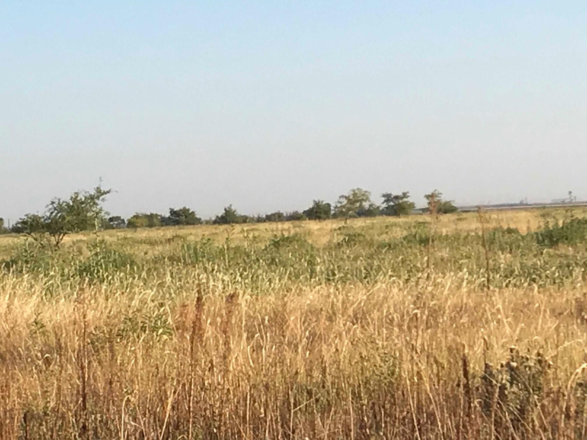 158 acres in Hale County, Texas