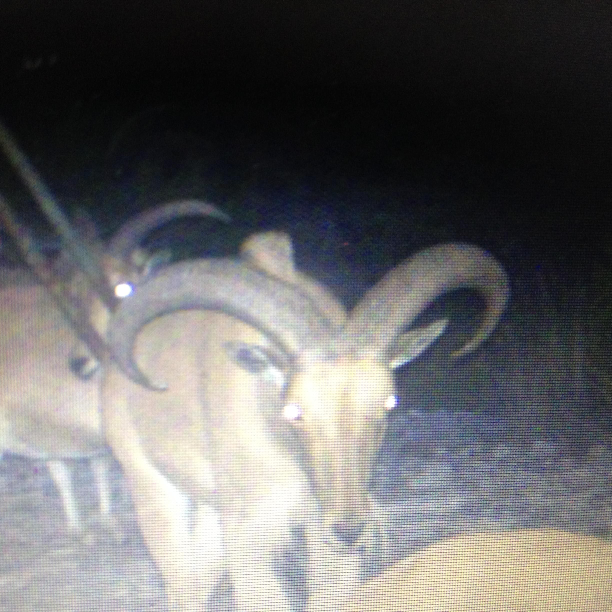 Dolan Creek Rd.., Loma Alta, TX 78840 MLS 1424049