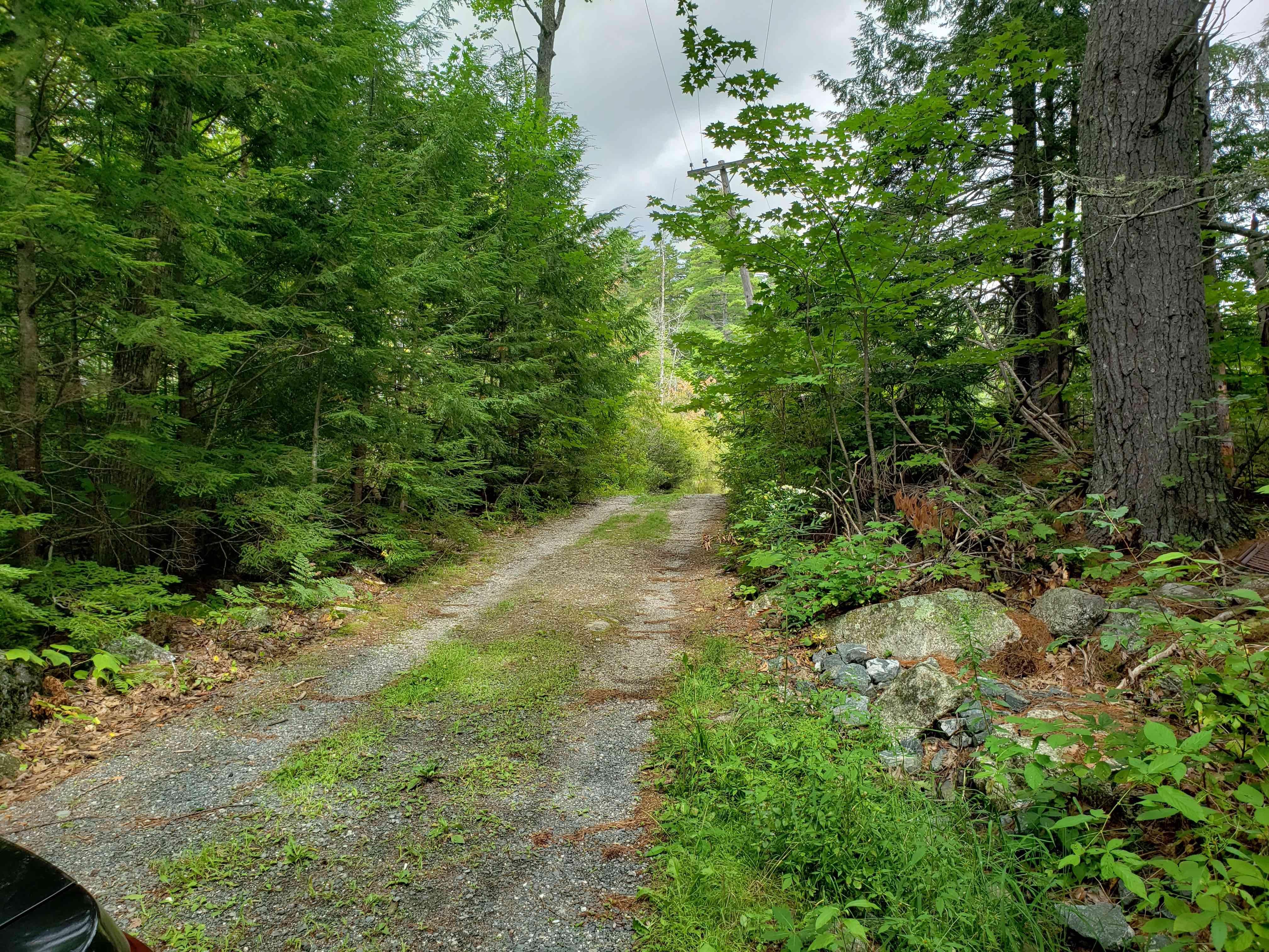 11 acres in Hancock County, Maine