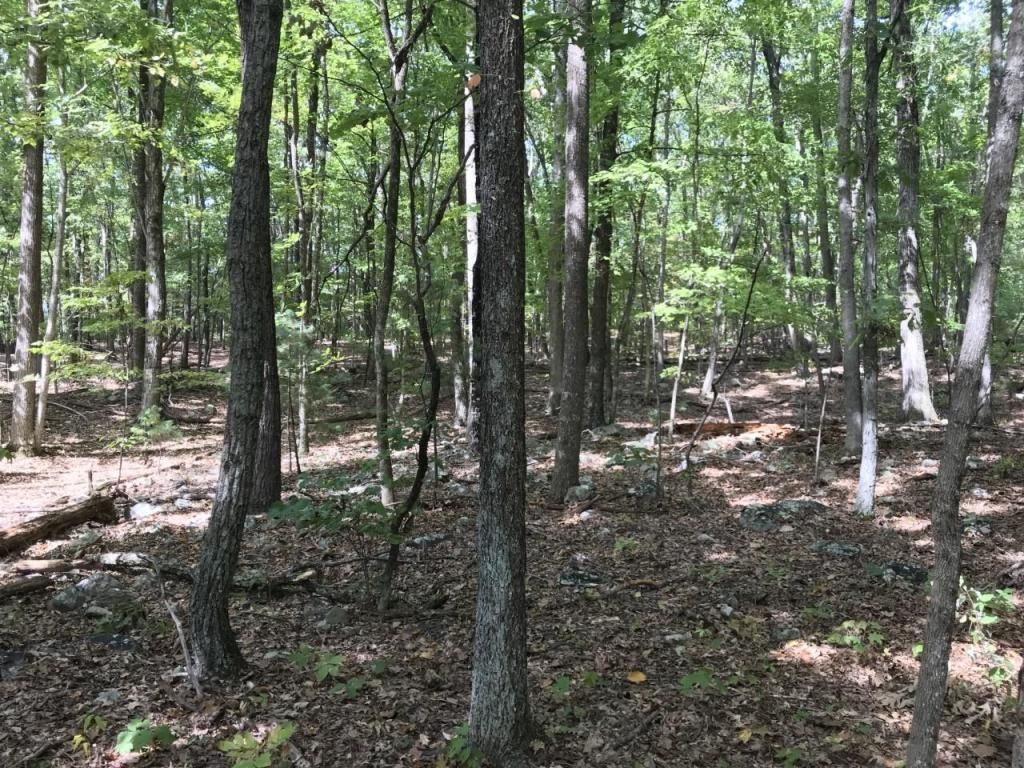 7 acres in Rockbridge County, Virginia
