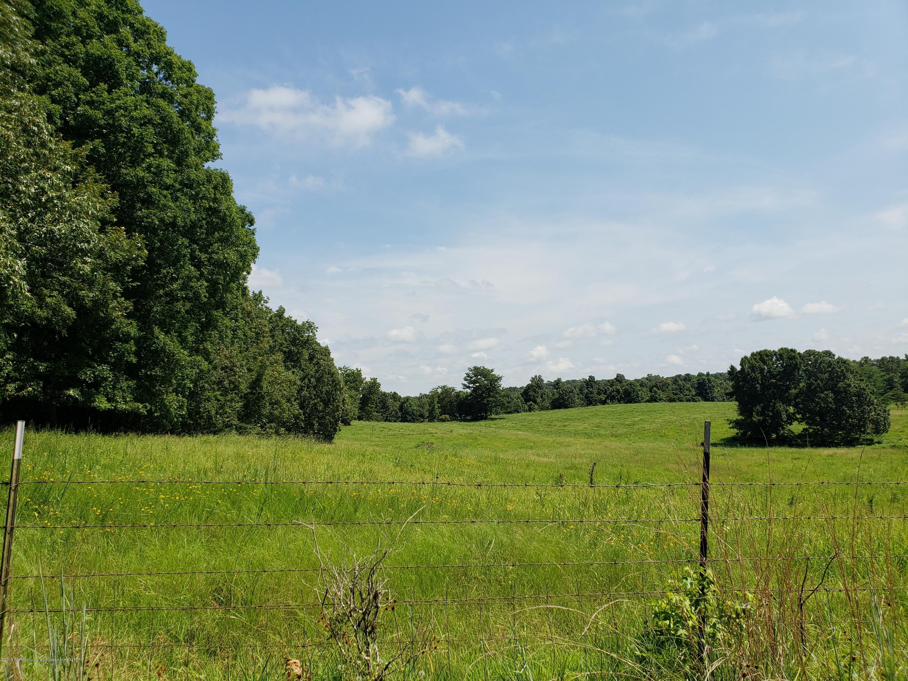 3 acres in Panola County, Mississippi