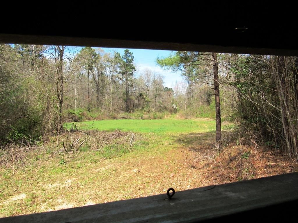 80 acres in Autauga County, Alabama