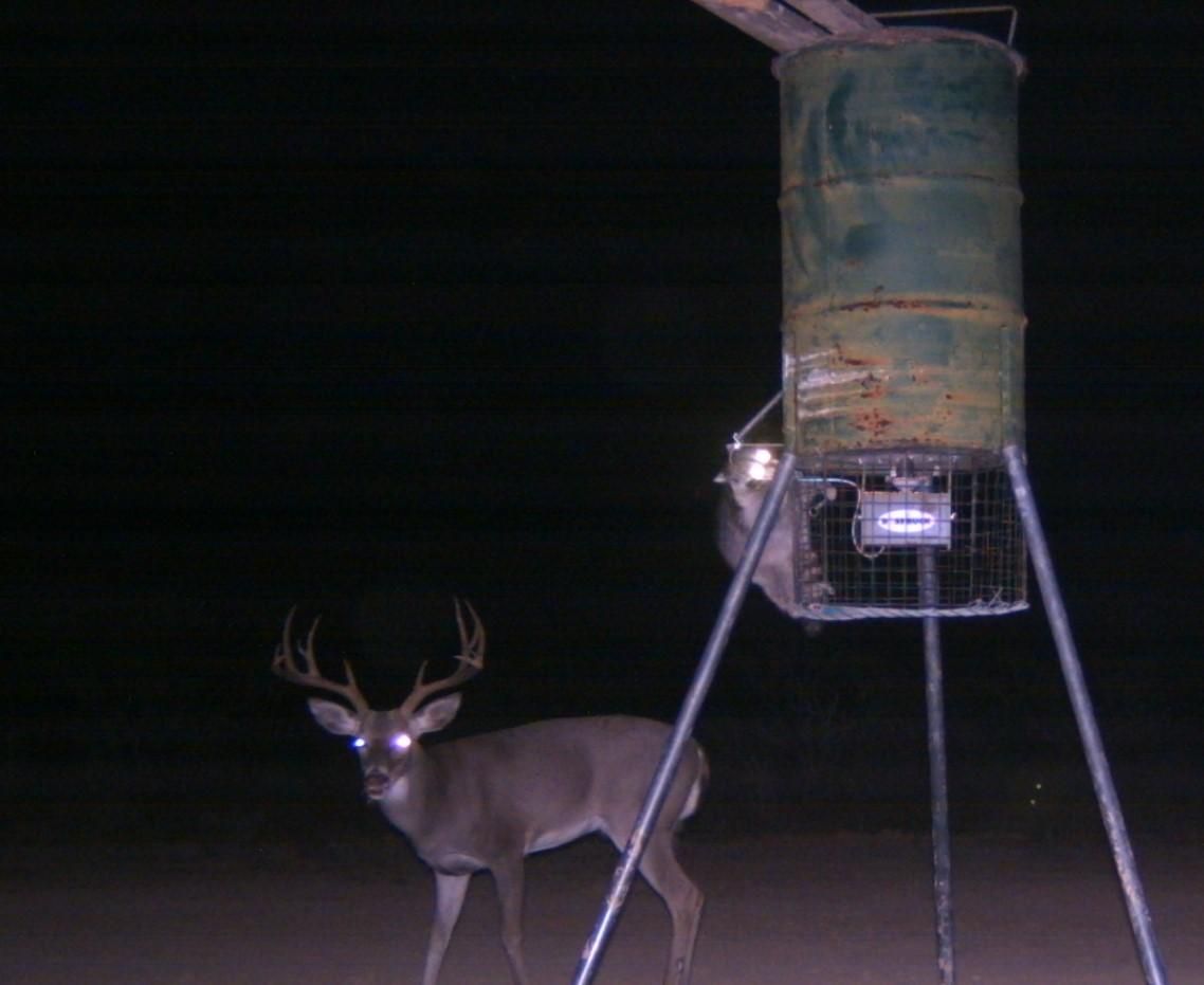 2158 Pumpville Road, Pumpville, TX 78851