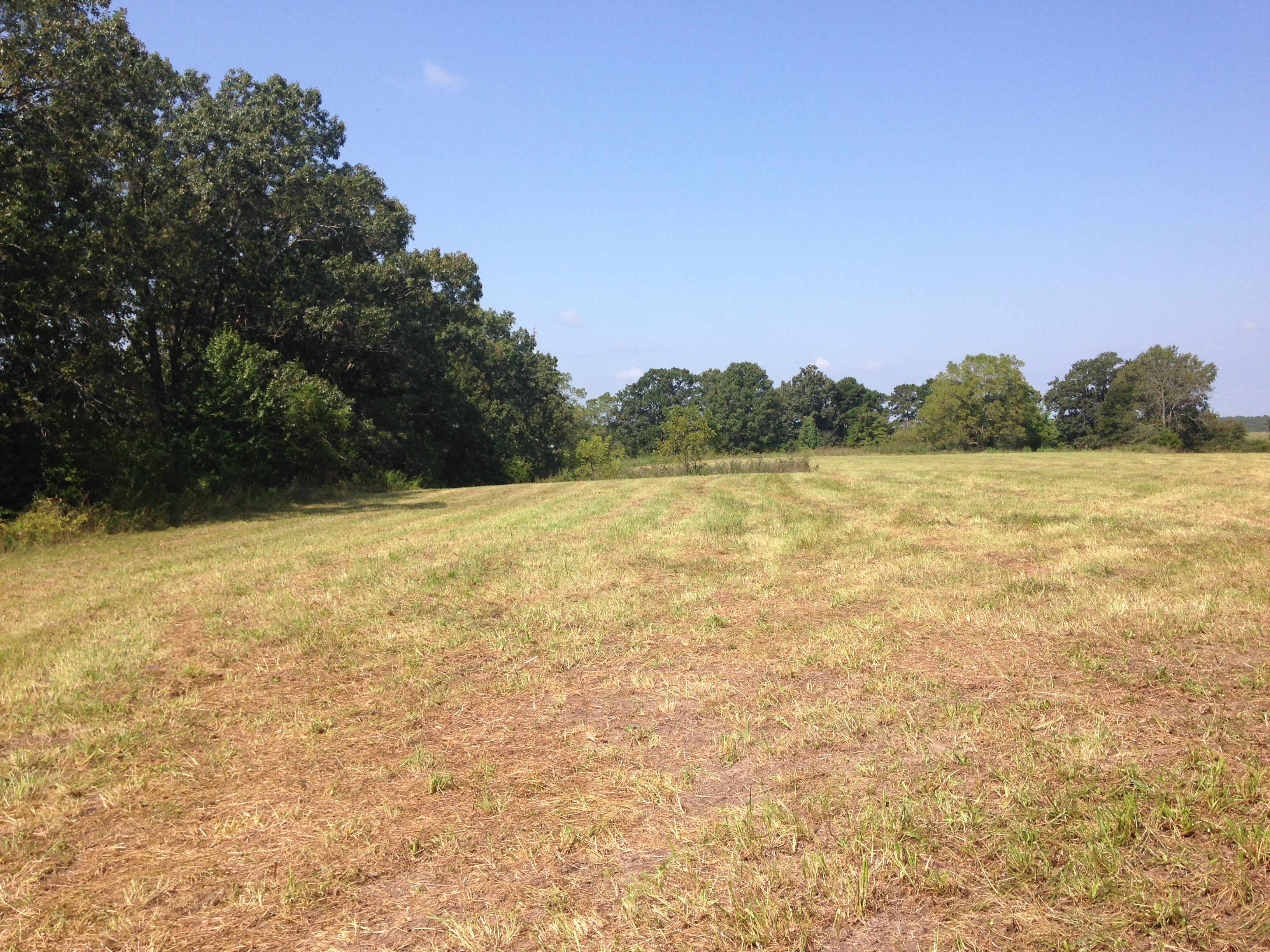 48 acres in Dent County, Missouri