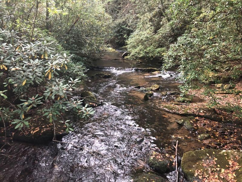 31 acres in Graham County, North Carolina