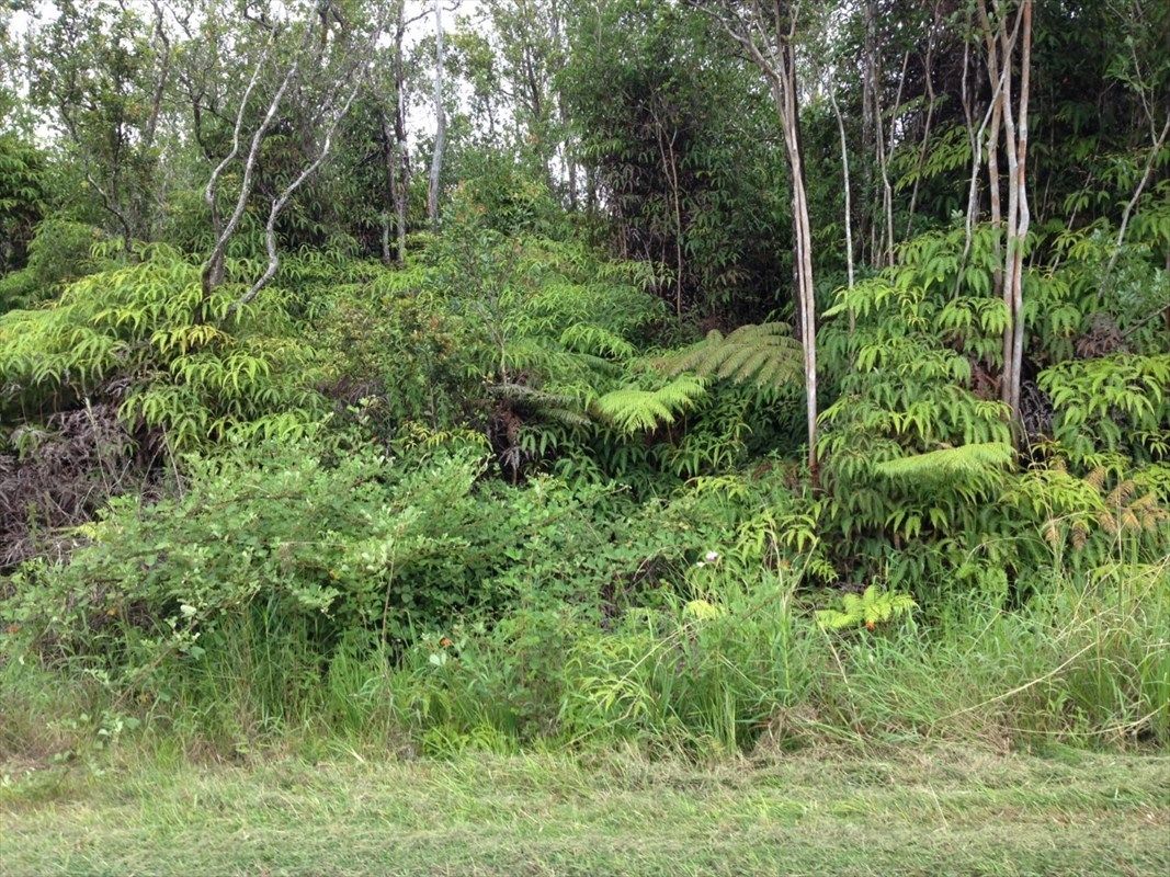 3 acres in Hawaii County, Hawaii