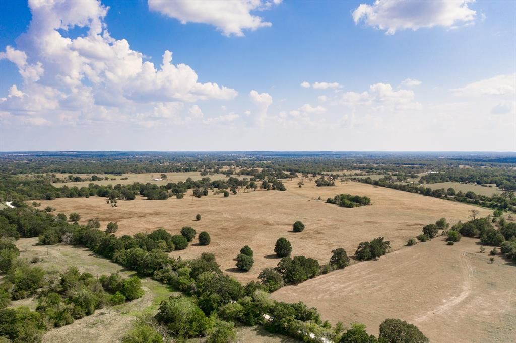 82.4 acres in Grimes County, Texas