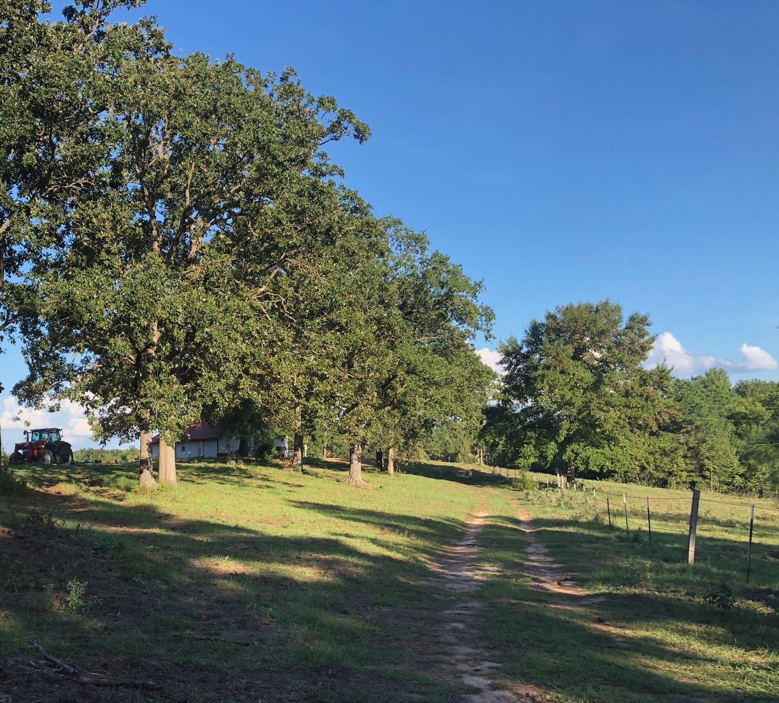 3 acres in Smith County, Texas