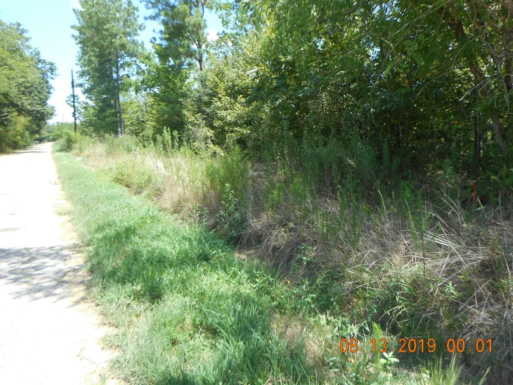 7 acres in Angelina County, Texas