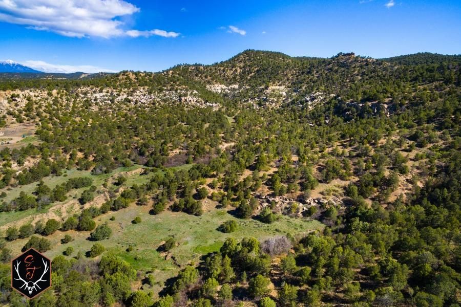 160 acres in Las Animas County, Colorado