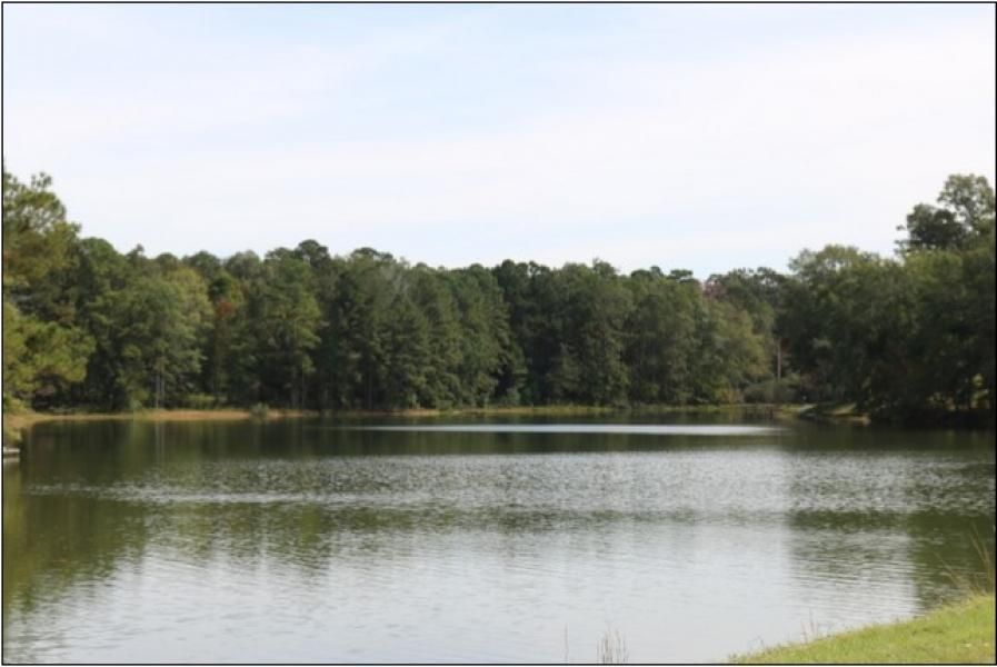 1 acres in Lauderdale County, Mississippi