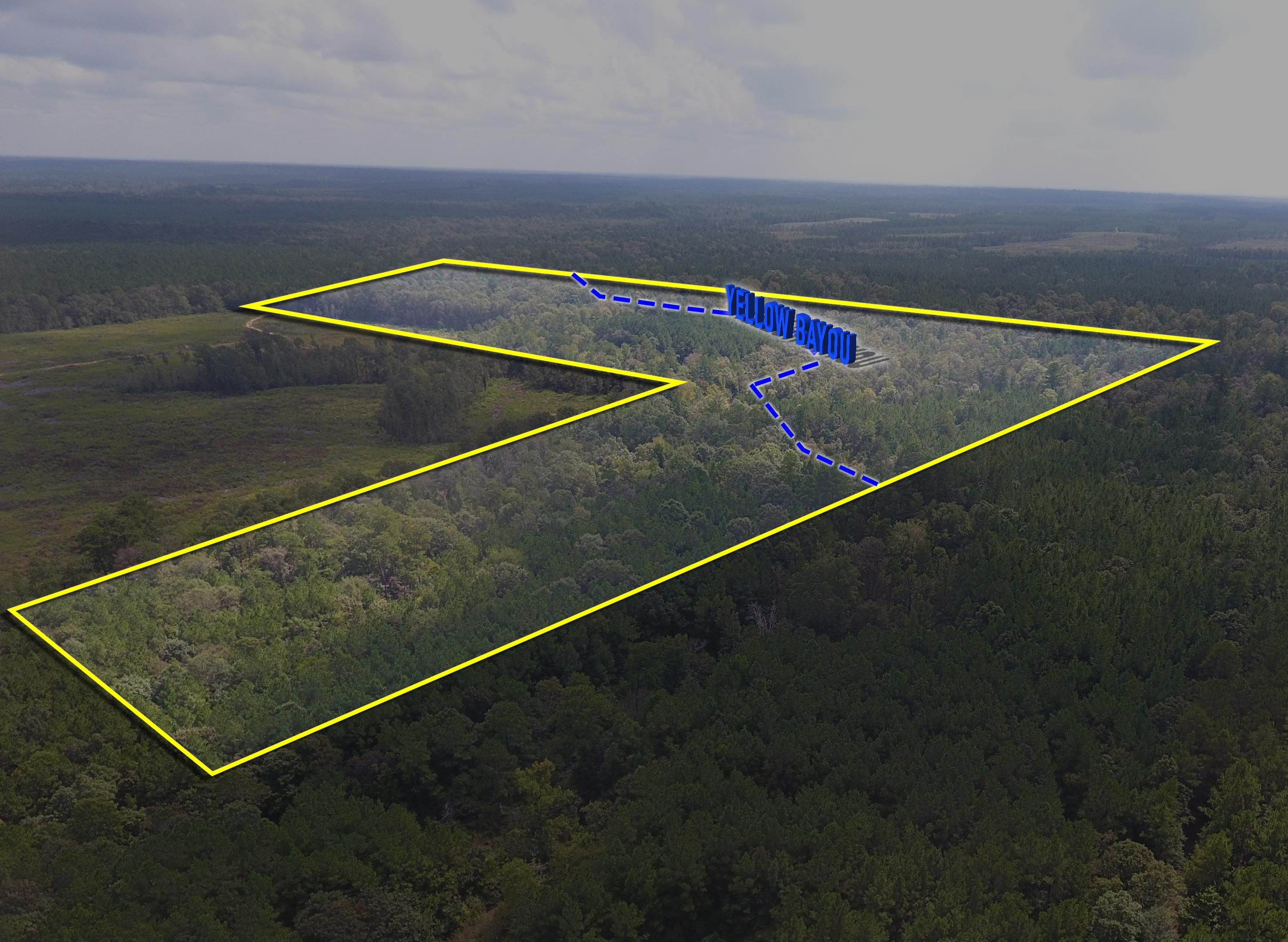 80 acres in Newton County, Texas