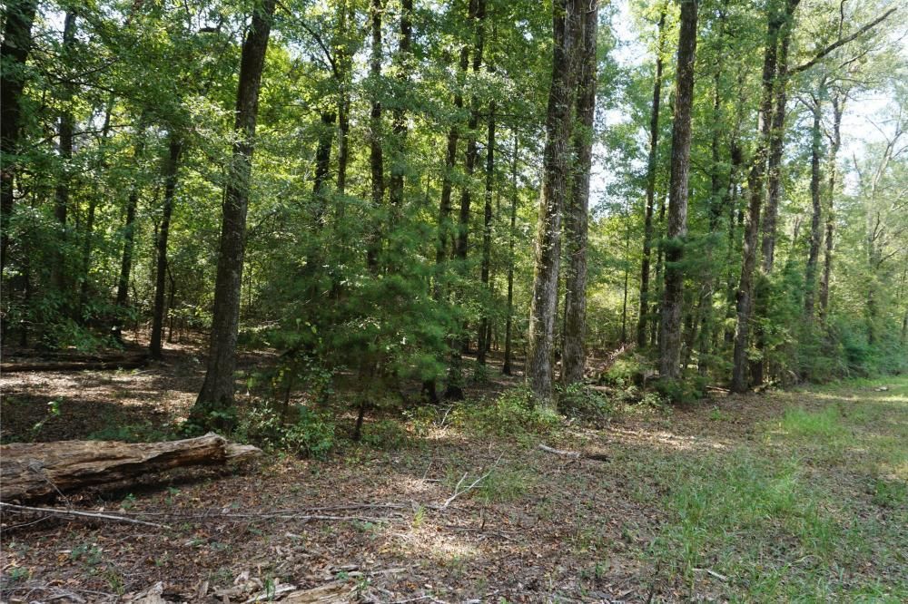 3,000 acres in Marengo County, Alabama