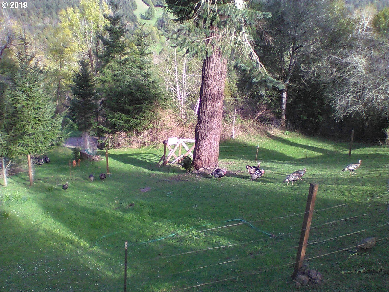 5.37 acres in Curry County, Oregon